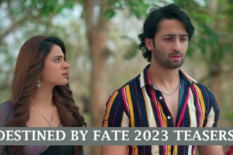 Destined by Fate Teasers for November 2023