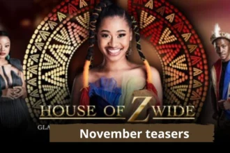 House of Zwide 3 Teasers for November 2023 House of Zwide 3 Teasers for November 2023