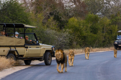 Kruger National Park