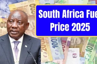 South Africa Fuel Prices January 2025: What Motorists Need to Know South Africa Fuel Prices January 2025